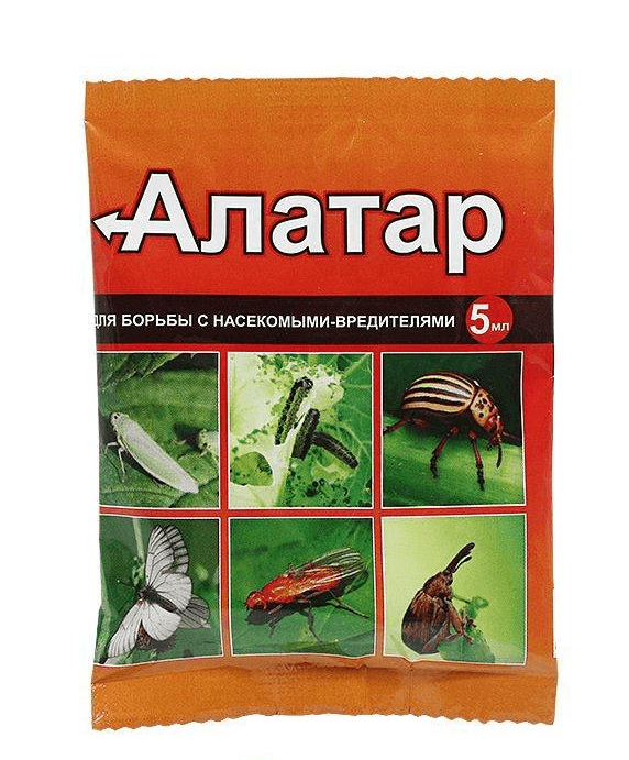 Алатар инсектицид. Алатар от морковной мухи. Средство для борьбы с насекомыми-вредителями "алатар", 25 мл. Алатар от колорадского жука. Алатар от морковной мухи.